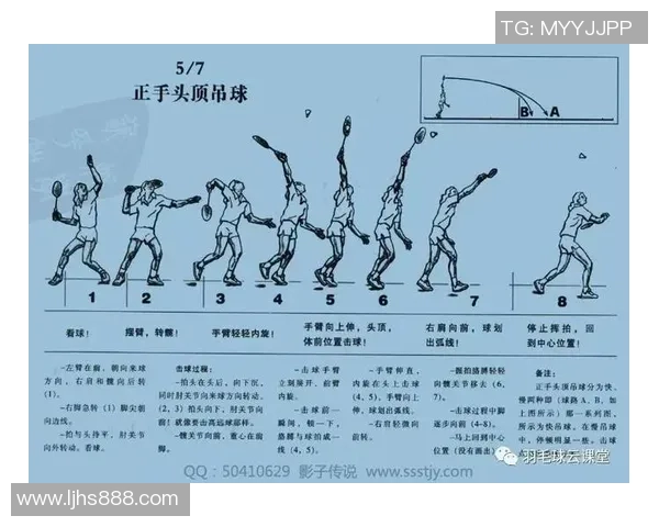 北京羽毛球队整体压制战术解析与实战应用研究